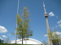Toronto, Mai 2008